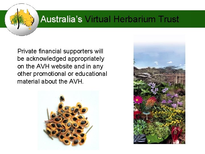 Australia’s Virtual Herbarium Trust Private financial supporters will be acknowledged appropriately on the AVH