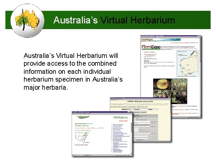 Australia’s Virtual Herbarium will provide access to the combined information on each individual herbarium