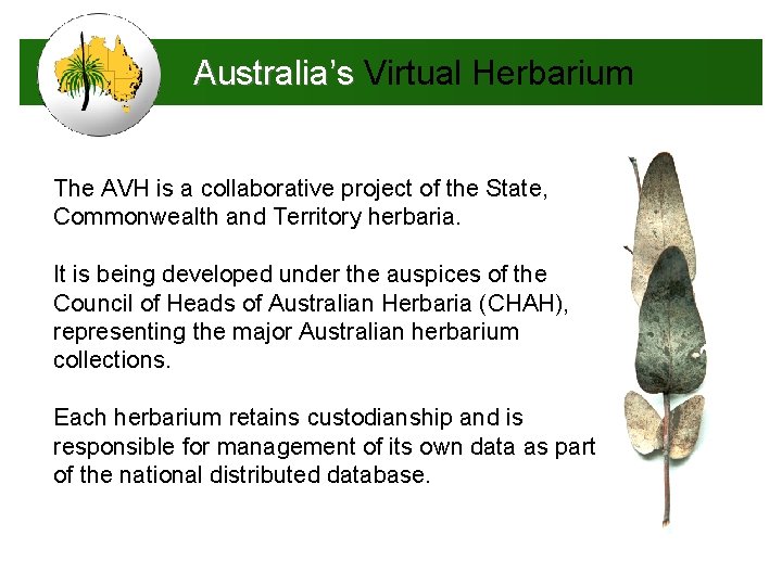 Australia’s Virtual Herbarium The AVH is a collaborative project of the State, Commonwealth and