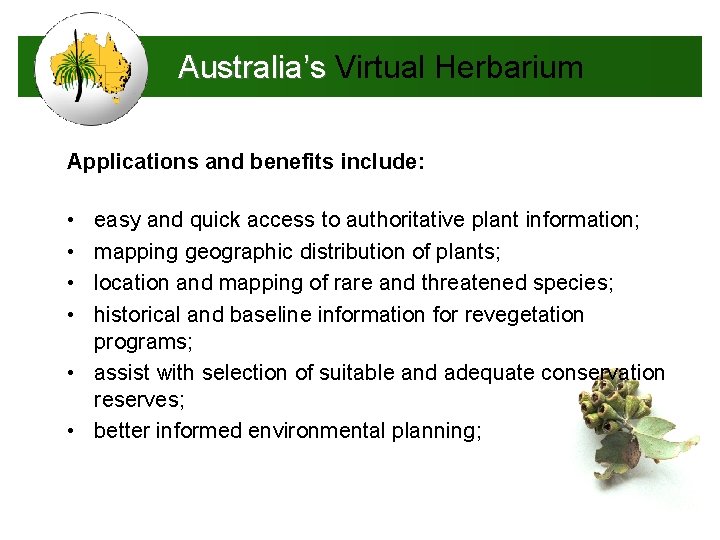 Australia’s Virtual Herbarium Applications and benefits include: • • easy and quick access to