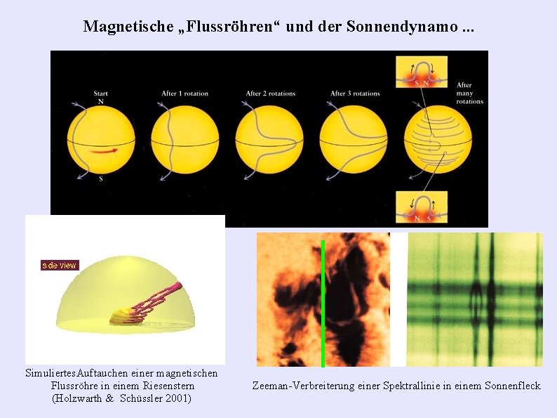 Magnetische „Flussröhren“ und der Sonnendynamo. . . Simuliertes. Auftauchen einer magnetischen Flussröhre in einem