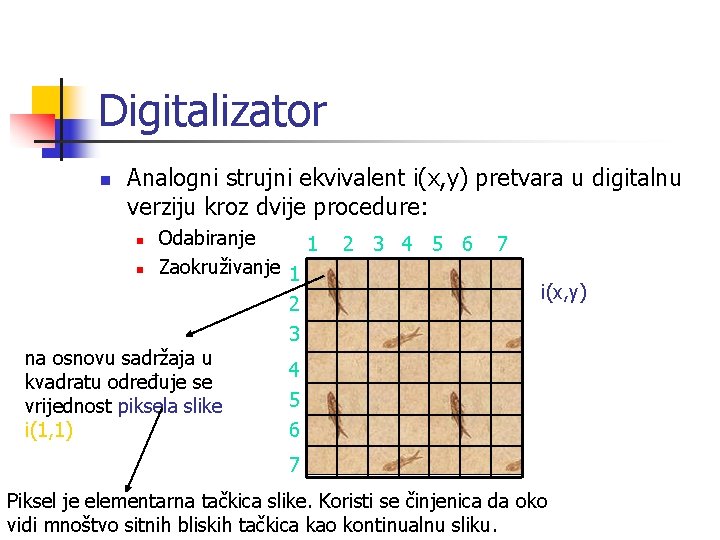 Digitalizator n Analogni strujni ekvivalent i(x, y) pretvara u digitalnu verziju kroz dvije procedure: