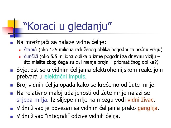 “Koraci u gledanju” n Na mrežnjači se nalaze vidne ćelije: n n n n