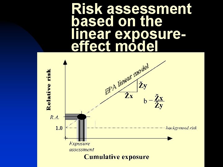 Risk assessment based on the linear exposureeffect model 