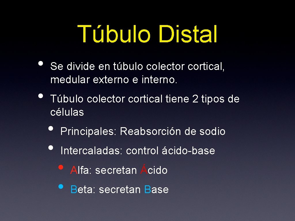 Túbulo Distal • • Se divide en túbulo colector cortical, medular externo e interno.