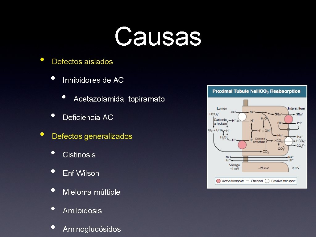 Causas • Defectos aislados • Inhibidores de AC • • • Acetazolamida, topiramato Deficiencia