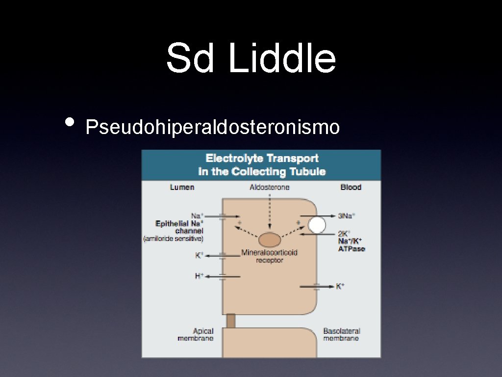 Sd Liddle • Pseudohiperaldosteronismo 