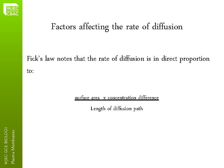 Factors affecting the rate of diffusion Fick’s law notes that the rate of diffusion