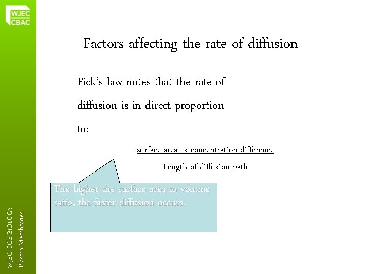 Factors affecting the rate of diffusion Fick’s law notes that the rate of diffusion