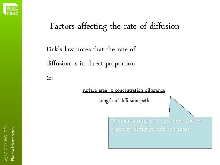 Factors affecting the rate of diffusion Fick’s law notes that the rate of diffusion