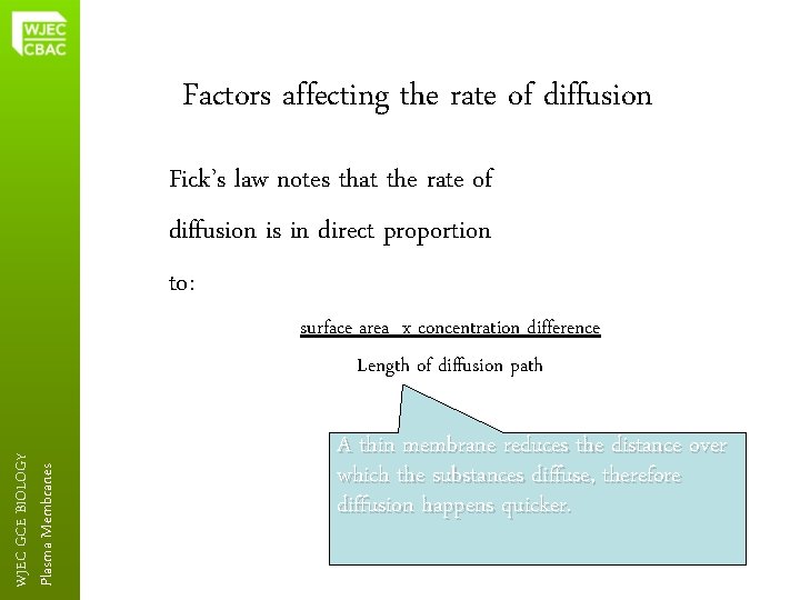 Factors affecting the rate of diffusion Fick’s law notes that the rate of diffusion