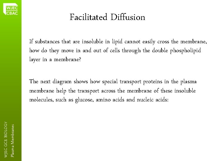 Facilitated Diffusion If substances that are insoluble in lipid cannot easily cross the membrane,