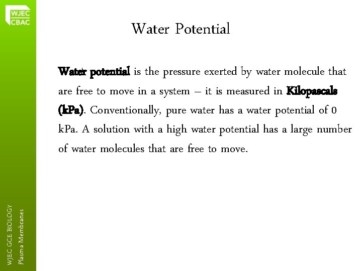 Water Potential Plasma Membranes WJEC GCE BIOLOGY Water potential is the pressure exerted by