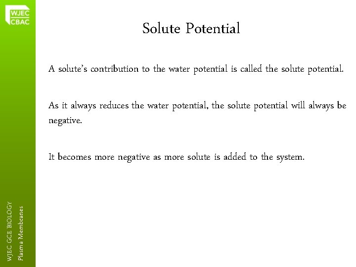 Solute Potential A solute’s contribution to the water potential is called the solute potential.