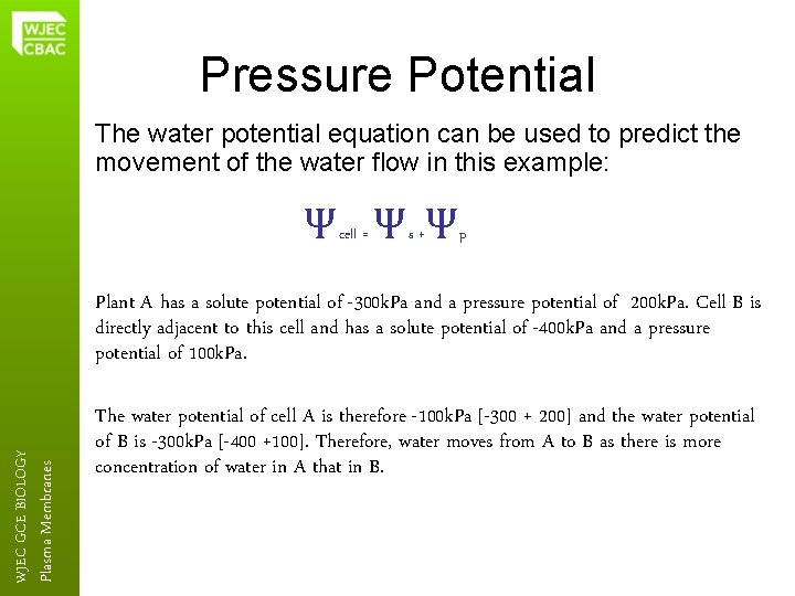 Pressure Potential The water potential equation can be used to predict the movement of