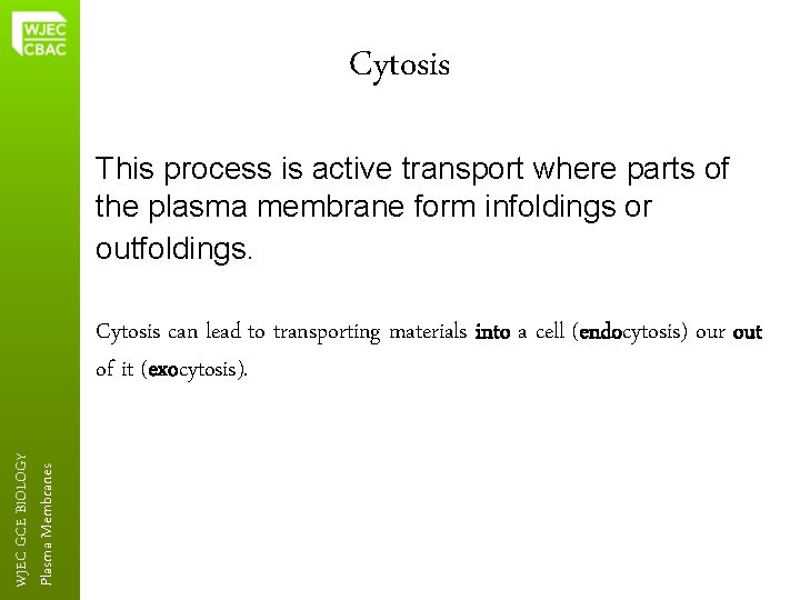 Cytosis This process is active transport where parts of the plasma membrane form infoldings