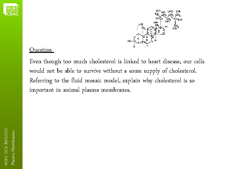 Plasma Membranes WJEC GCE BIOLOGY Question Even though too much cholesterol is linked to