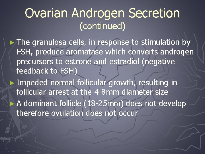 Ovarian Androgen Secretion (continued) ► The granulosa cells, in response to stimulation by FSH,