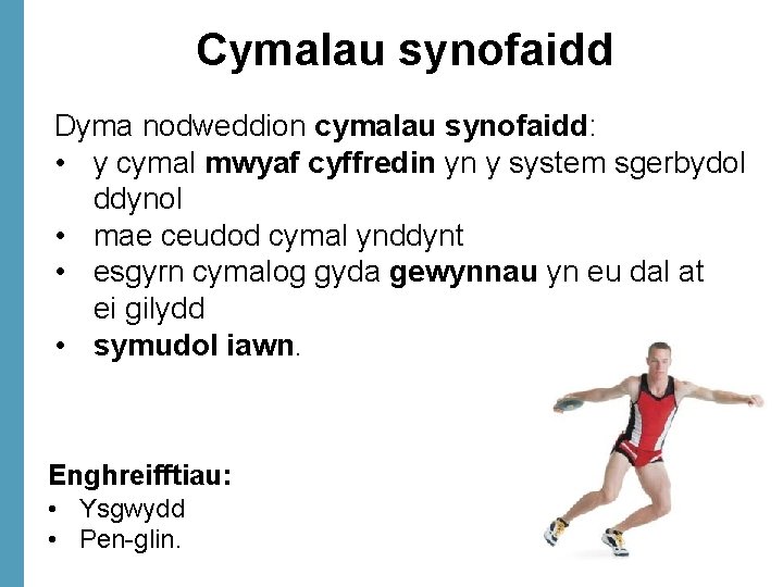 Cymalau synofaidd Dyma nodweddion cymalau synofaidd: • y cymal mwyaf cyffredin yn y system