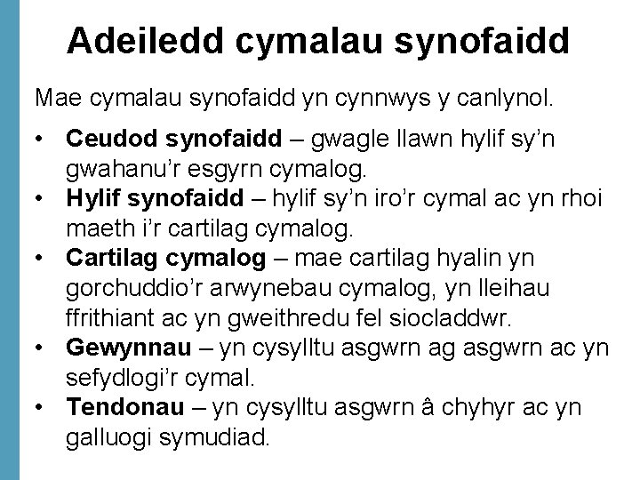 Adeiledd cymalau synofaidd Mae cymalau synofaidd yn cynnwys y canlynol. • Ceudod synofaidd –