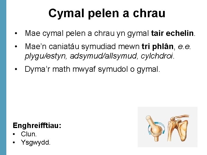 Cymal pelen a chrau • Mae cymal pelen a chrau yn gymal tair echelin.