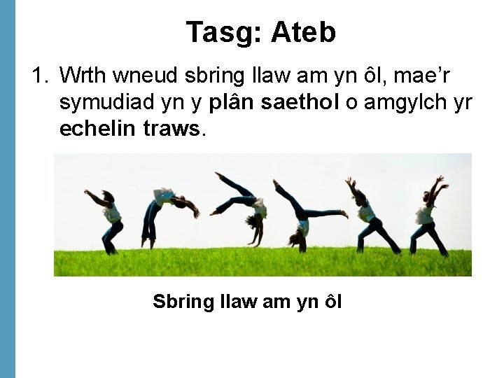 Tasg: Ateb 1. Wrth wneud sbring llaw am yn ôl, mae’r symudiad yn y