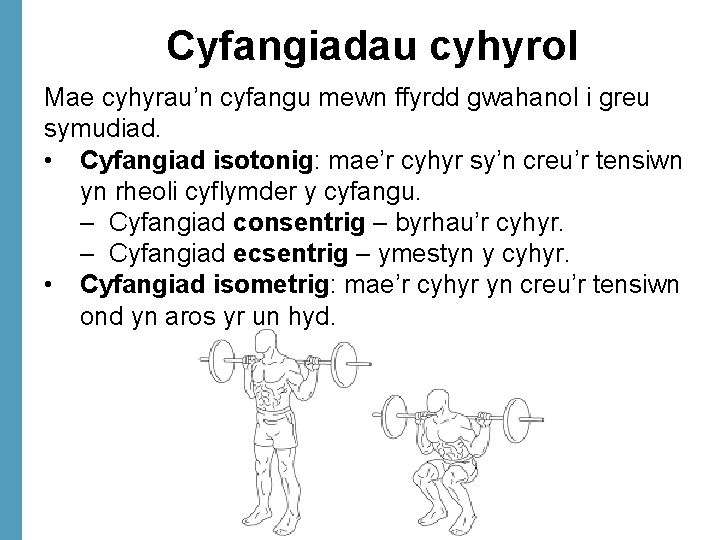 Cyfangiadau cyhyrol Mae cyhyrau’n cyfangu mewn ffyrdd gwahanol i greu symudiad. • Cyfangiad isotonig: