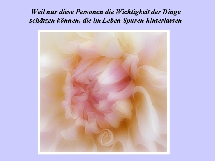 Weil nur diese Personen die Wichtigkeit der Dinge schätzen können, die im Leben Spuren
