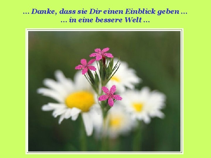 … Danke, dass sie Dir einen Einblick geben … … in eine bessere Welt