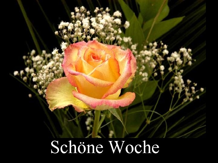 Schöne Woche 