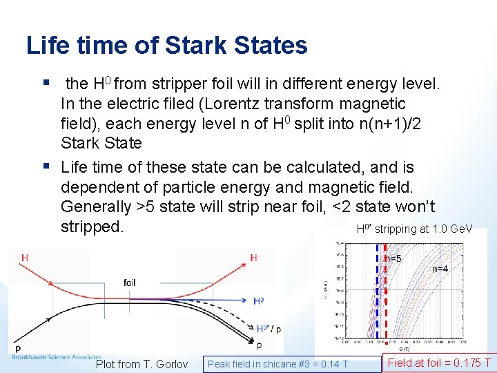 Life time of Stark States § the H 0 from stripper foil will in