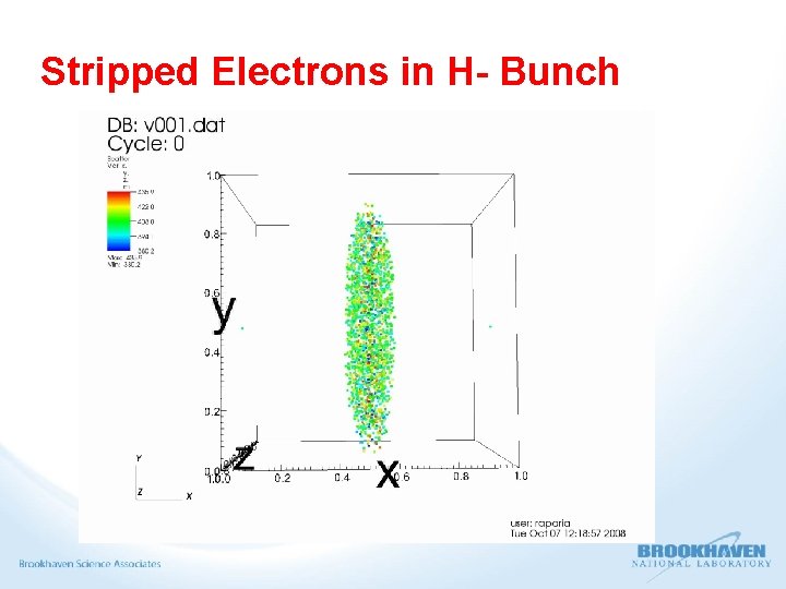 Stripped Electrons in H- Bunch 