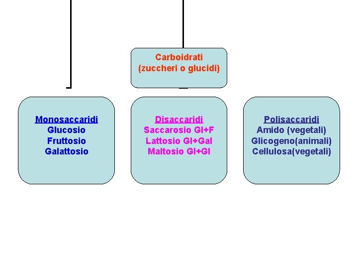 Carboidrati (zuccheri o glucidi) Monosaccaridi Glucosio Fruttosio Galattosio Disaccaridi Saccarosio Gl+F Lattosio Gl+Gal Maltosio Carboidrati (zuccheri o glucidi) Monosaccaridi Glucosio Fruttosio Galattosio Disaccaridi Saccarosio Gl+F Lattosio Gl+Gal Maltosio