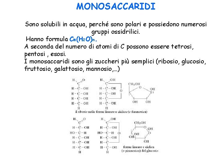 MONOSACCARIDI Sono solubili in acqua, perché sono polari e possiedono numerosi gruppi ossidrilici. Hanno MONOSACCARIDI Sono solubili in acqua, perché sono polari e possiedono numerosi gruppi ossidrilici. Hanno