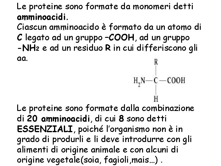 Le proteine sono formate da monomeri detti amminoacidi. Ciascun amminoacido è formato da un Le proteine sono formate da monomeri detti amminoacidi. Ciascun amminoacido è formato da un