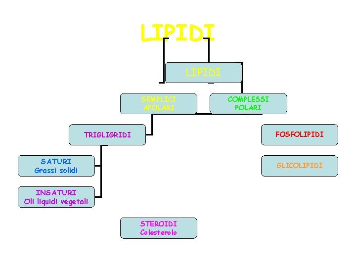 LIPIDI SEMPLICI APOLARI COMPLESSI POLARI FOSFOLIPIDI TRIGLIGRIDI SATURI Grassi solidi GLICOLIPIDI INSATURI Oli liquidi LIPIDI SEMPLICI APOLARI COMPLESSI POLARI FOSFOLIPIDI TRIGLIGRIDI SATURI Grassi solidi GLICOLIPIDI INSATURI Oli liquidi