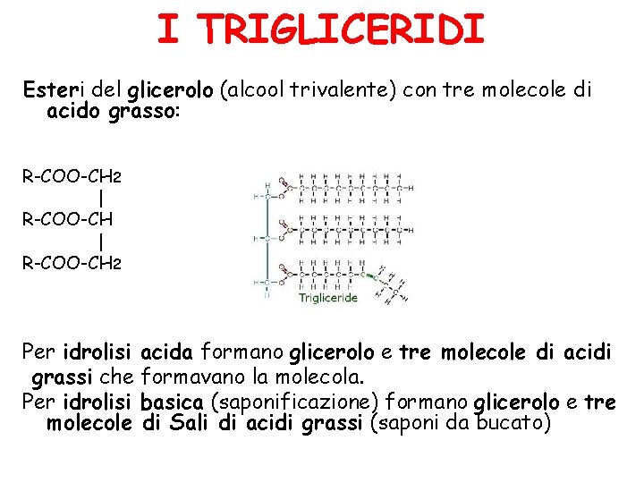 I TRIGLICERIDI Esteri del glicerolo (alcool trivalente) con tre molecole di acido grasso: R-COO-CH I TRIGLICERIDI Esteri del glicerolo (alcool trivalente) con tre molecole di acido grasso: R-COO-CH