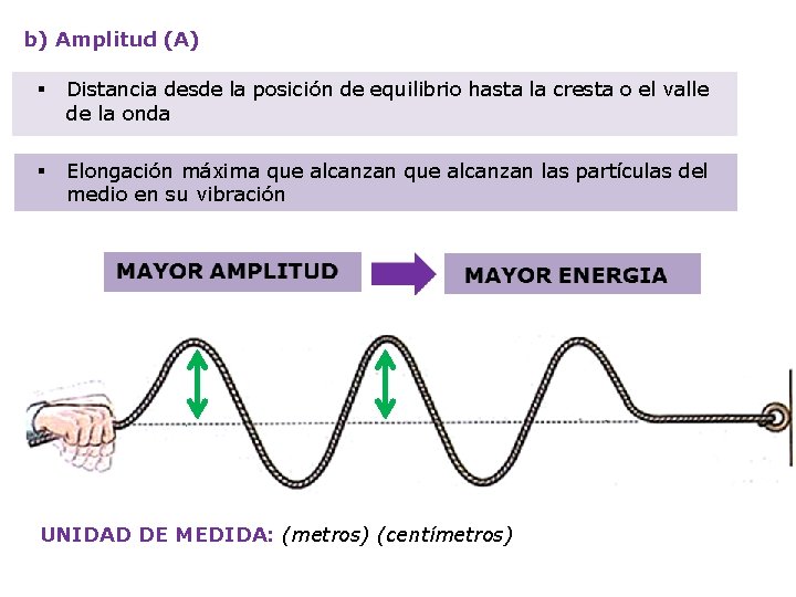 b) Amplitud (A) § Distancia desde la posición de equilibrio hasta la cresta o