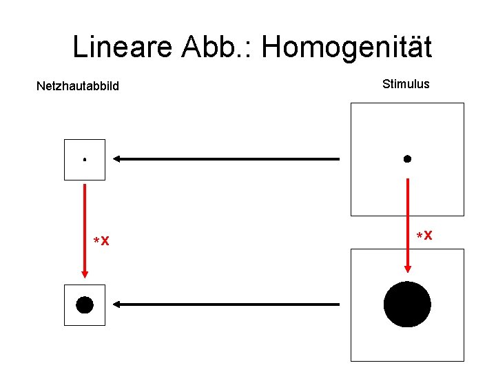 Lineare Abb. : Homogenität Netzhautabbild *x Stimulus *x 