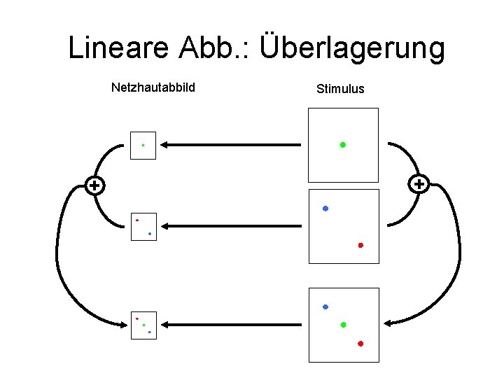 Lineare Abb. : Überlagerung Netzhautabbild + Stimulus + 