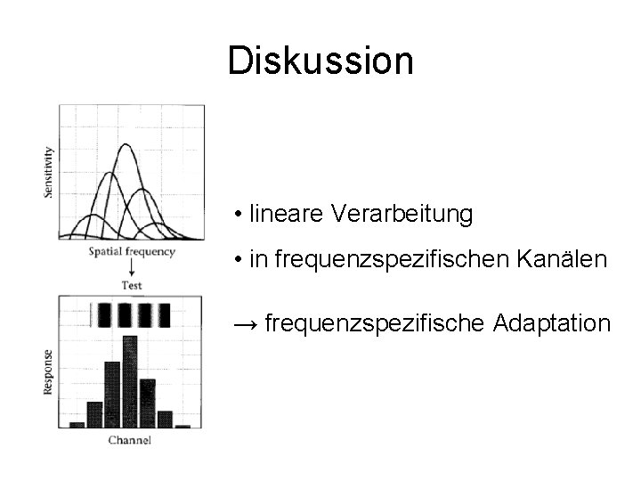 Diskussion • lineare Verarbeitung • in frequenzspezifischen Kanälen → frequenzspezifische Adaptation 