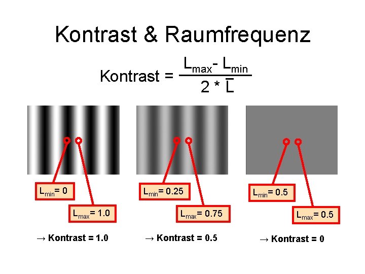 Kontrast & Raumfrequenz Lmax- Lmin Kontrast = 2*L Lmin= 0. 25 Lmax= 1. 0