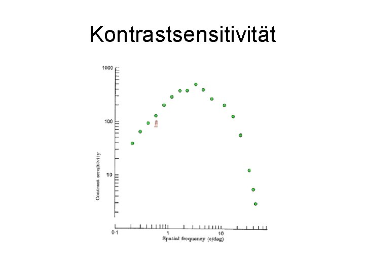 Kontrastsensitivität 