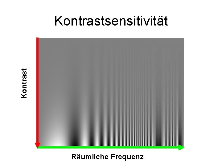 Kontrastsensitivität Räumliche Frequenz 