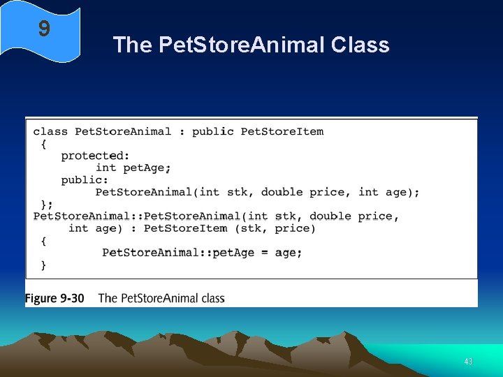 9 The Pet. Store. Animal Class 43 9 The Pet. Store. Animal Class 43