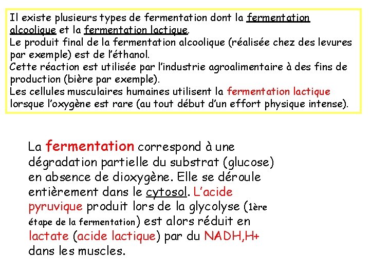 Il existe plusieurs types de fermentation dont la fermentation alcoolique et la fermentation lactique.