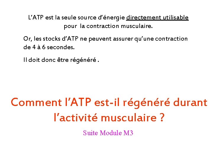 L’ATP est la seule source d’énergie directement utilisable pour la contraction musculaire. Or, les