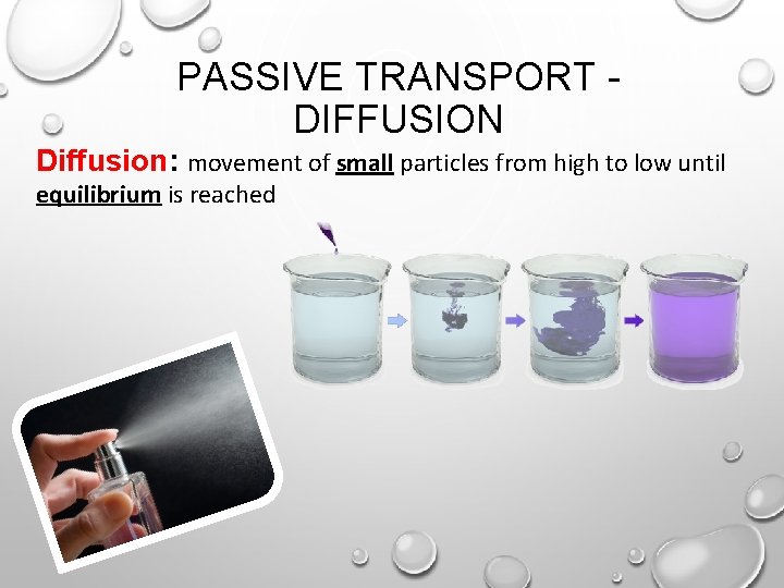 PASSIVE TRANSPORT DIFFUSION Diffusion: movement of small particles from high to low until equilibrium