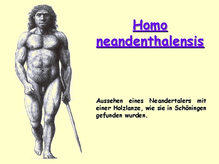 Homo neandenthalensis Aussehen eines Neandertalers mit einer Holzlanze, wie sie in Schöningen gefunden wurden.