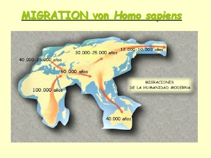 MIGRATION von Homo sapiens 